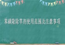 苯磺隆除草剂使用范围及注意事项