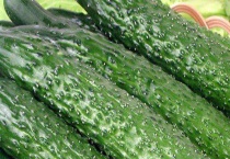 使用中生菌素有哪些注意事项 使用方法是怎样的