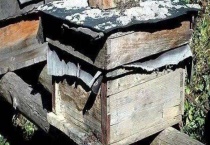 蜂箱为什么要盖覆布 附具体说明