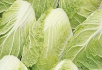 大白菜的收获时间 附大白菜的腌制多久？