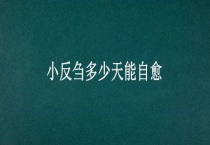 小反刍多少天能自愈