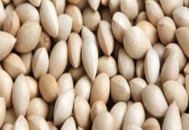 白果结果需要几年 白果的常见吃法有哪些？