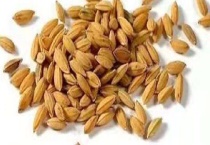 假劣杂交水稻种子的辨别方法 具体怎么辨别