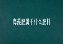海藻肥属于什么肥料
