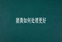 猪粪如何处理更好