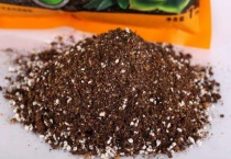 自制多肉营养土