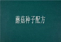 蘑菇种子配方