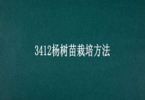 3412杨树苗栽培多久？