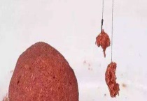 搓饵怎么开状态最好？注意事项有哪些？