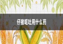 仔猪呕吐用什么药
