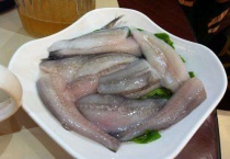 九肚鱼是什么鱼