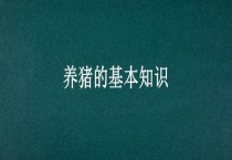 养猪的基本知识