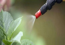 吗胍乙酸铜配药有哪些禁忌 附注意事项