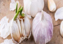 大蒜用什么肥料产量高