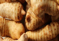 什么时候种植天麻最合适 种植关键是什么？