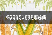 怀孕母猪可以打头孢噻呋钠吗？