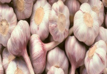 大蒜产地在哪里 附大蒜的产地环境和种类