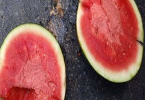 无籽西瓜是怎么来的？对人有害吗？