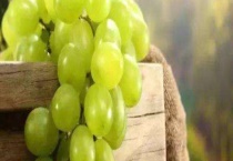 晴王葡萄和阳光玫瑰的区别？