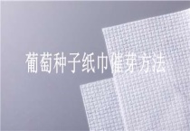 葡萄种子纸巾催芽多久？