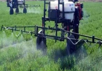 苦参碱能和哪些农药混用 附苦参碱基本介绍