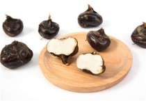 特大马蹄栽培技术