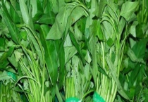 通菜是不是空心菜 附空心菜的做法