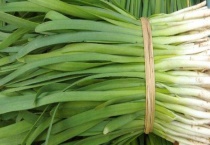 韭菜地蛆怎样防治