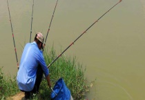 钓河鱼用什么饵料比较好 钓河鱼的秘诀