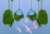 鱼几月份产鱼籽