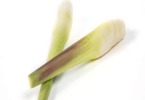 茭白的储藏方法 茭白储藏注意事项