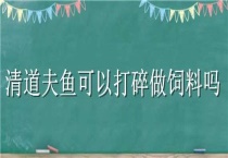清道夫鱼可以打碎做饲料吗？