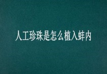 人工珍珠是怎么植入蚌内