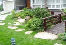 4种方法来用草籽种草