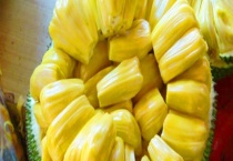 菠萝蜜核可不可以生吃 附菠萝蜜的作用