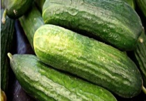 黄瓜直顺喷什么 附黄瓜简介