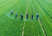 除草剂降解方式有哪些？