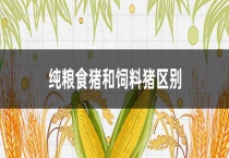 纯粮食猪和饲料猪区别？