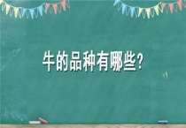 牛的品种有哪些？
