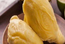 榴莲适合在广西种植吗 附功效和价值