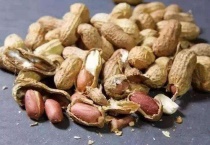 花生壳不腐熟能种花吗？