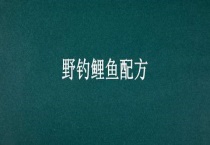 野钓鲤鱼配方