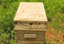 30元一个蜂箱是真的吗 附蜂箱的制作成本