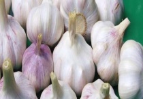 大蒜怎么种植多久？