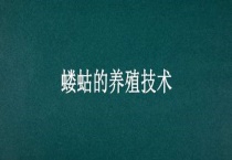 蝼蛄的养殖技术