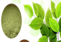 植物提取物是促进动物生长首选 最主要功能是提高动物的生长性能表现