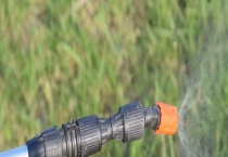 除草剂药害怎么办 除草剂药害的原因？