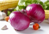 洋葱苗冬天在地里会冻死吗？