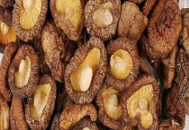 冬菇和香菇的区别？是什么？有什么功效