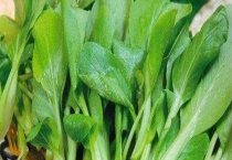 鸡毛菜是不是小白菜 附鸡毛菜的种植多久？